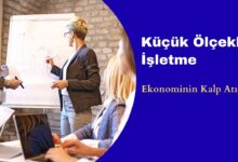 Küçük Ölçekli İşletme